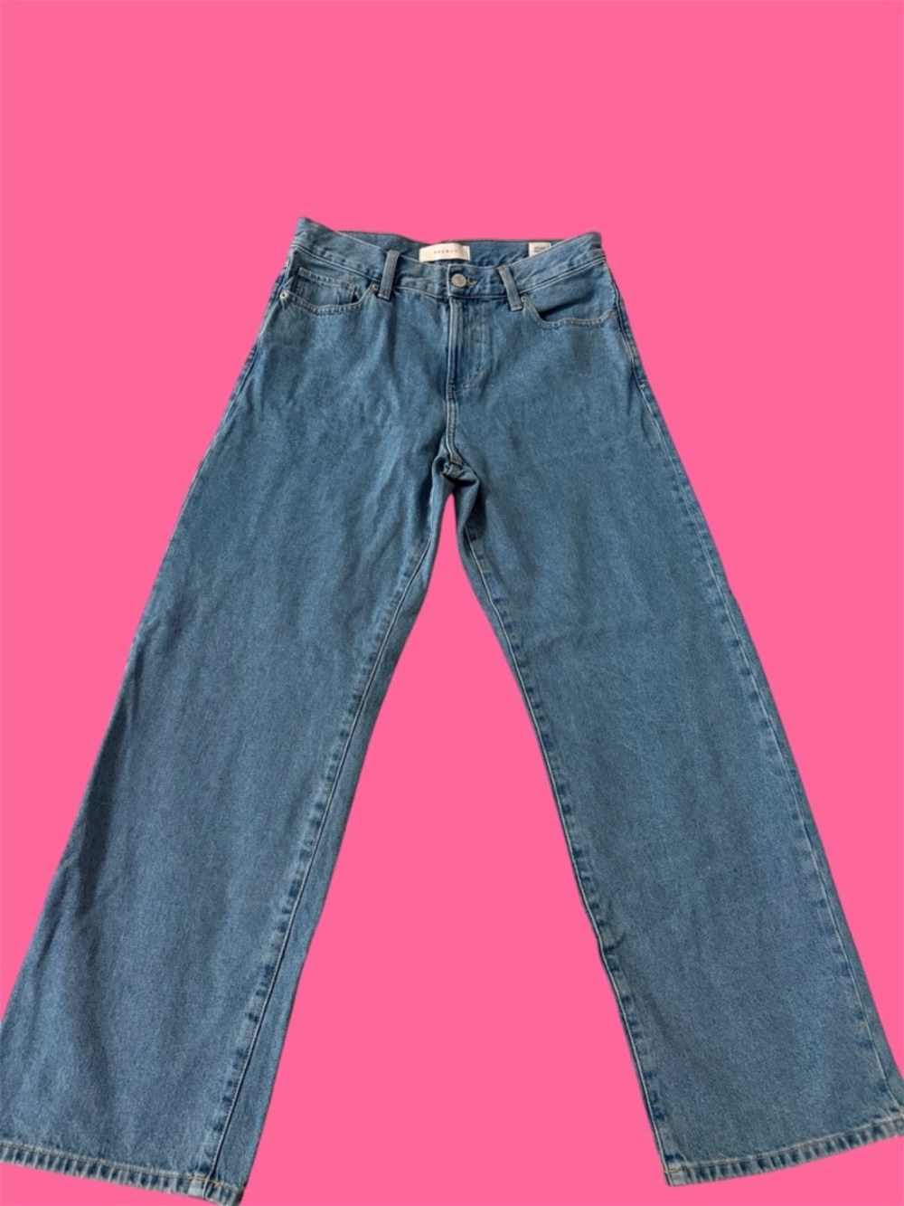 Pacsun Men’s Dylan Baggy Jeans Medium Wash